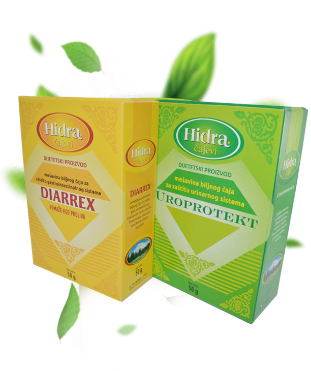 hidracajevi-main2 hidracajevi-main2